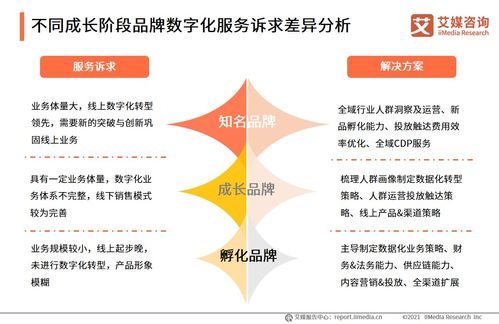 信息技術(shù)咨詢(xún)服務(wù)賦能品牌電商服務(wù)商 2021年行業(yè)洞察與發(fā)展趨勢(shì)