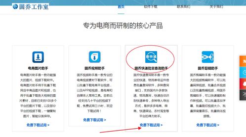 教你批量查詢(xún)快遞物流信息，一眼發(fā)現(xiàn)異常件——信息技術(shù)咨詢(xún)服務(wù)指南